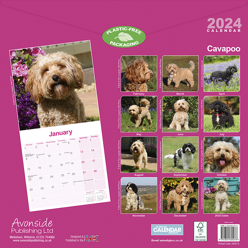 Cavapoo Calendar 2024 (Square) Dogs Naturally